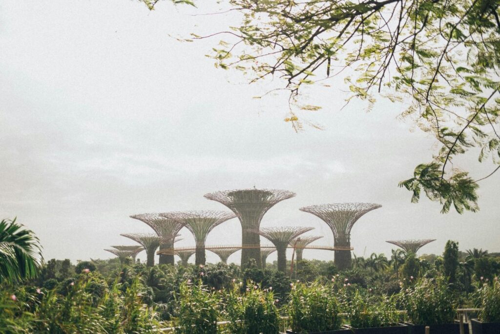 Futuristic Supertree Grove and OCBC Skyway at Gardens by the Bay, Singapore.