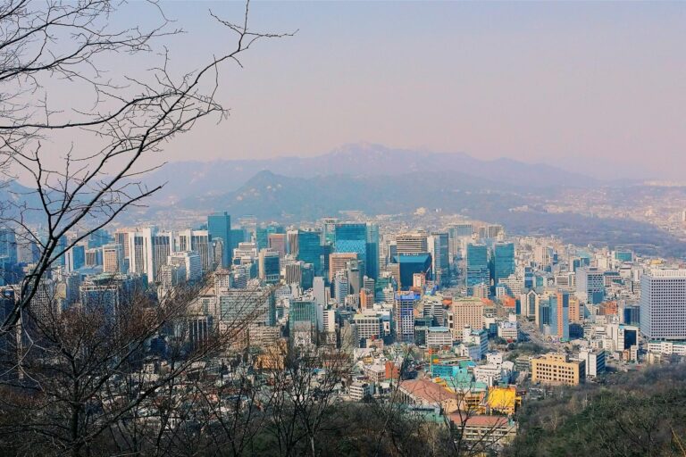Framed by the silhouette of bare tree branches in the foreground, an expansive cityscape reveals a dense cluster of modern skyscrapers and high-rise buildings. In the background, a range of hazy, blue-tinted mountains stretches across the horizon, contrasting the urban sprawl with a natural landscape.