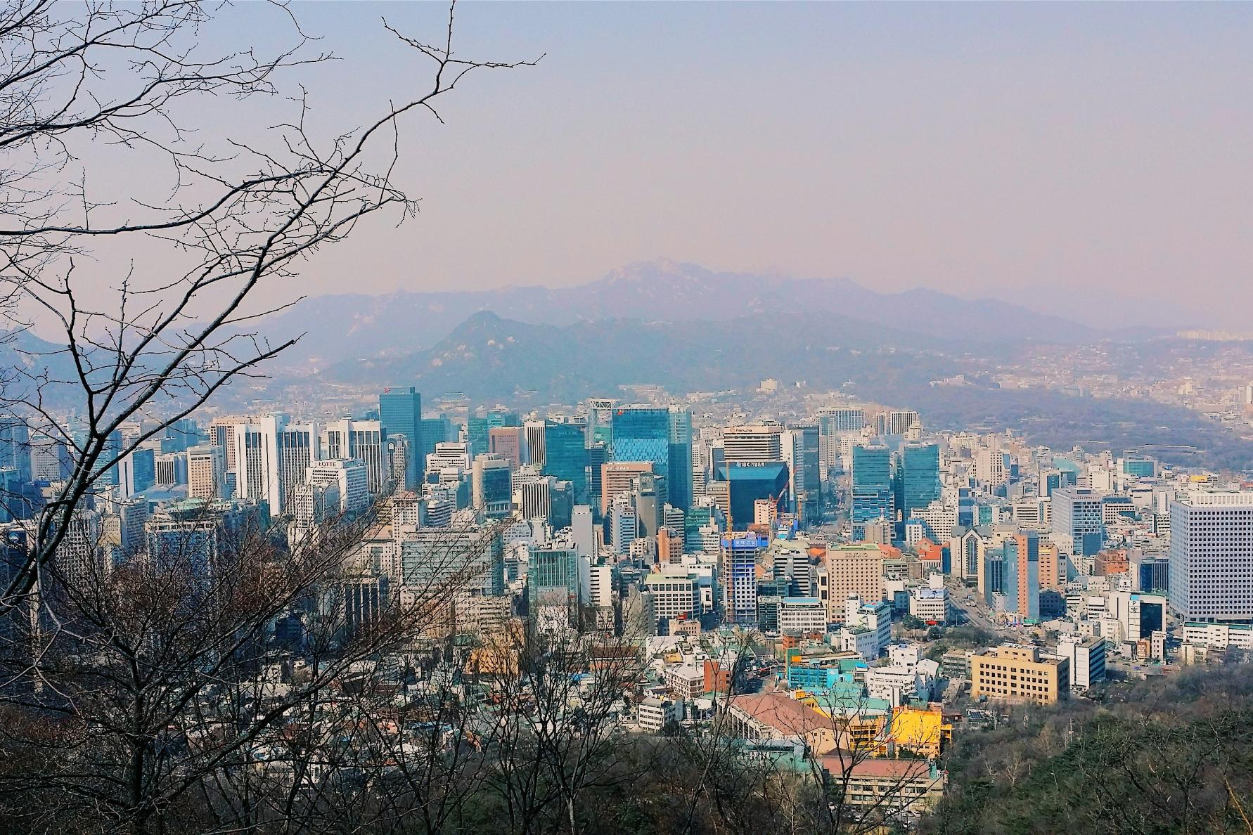 Framed by the silhouette of bare tree branches in the foreground, an expansive cityscape reveals a dense cluster of modern skyscrapers and high-rise buildings. In the background, a range of hazy, blue-tinted mountains stretches across the horizon, contrasting the urban sprawl with a natural landscape.