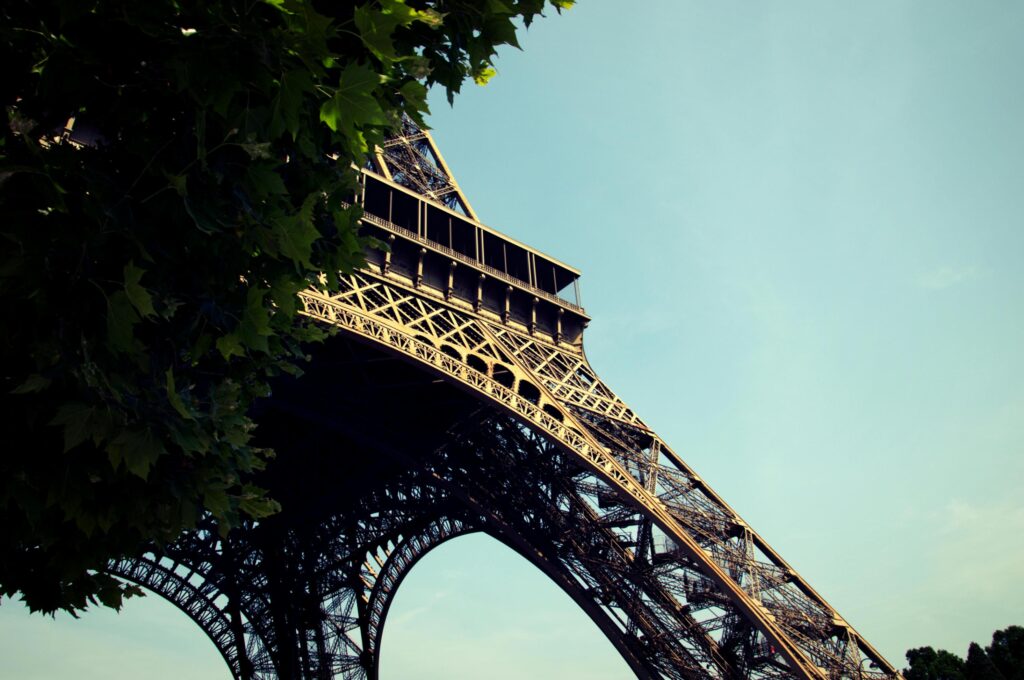 This low-angle shot captures the intricate iron lattice and sweeping arch of the Eiffel Tower, partially framed by lush green leaves in the foreground. Set against a clear, pale blue sky, the warm sunlight highlights the architectural detail of the iconic French monument's first platform.