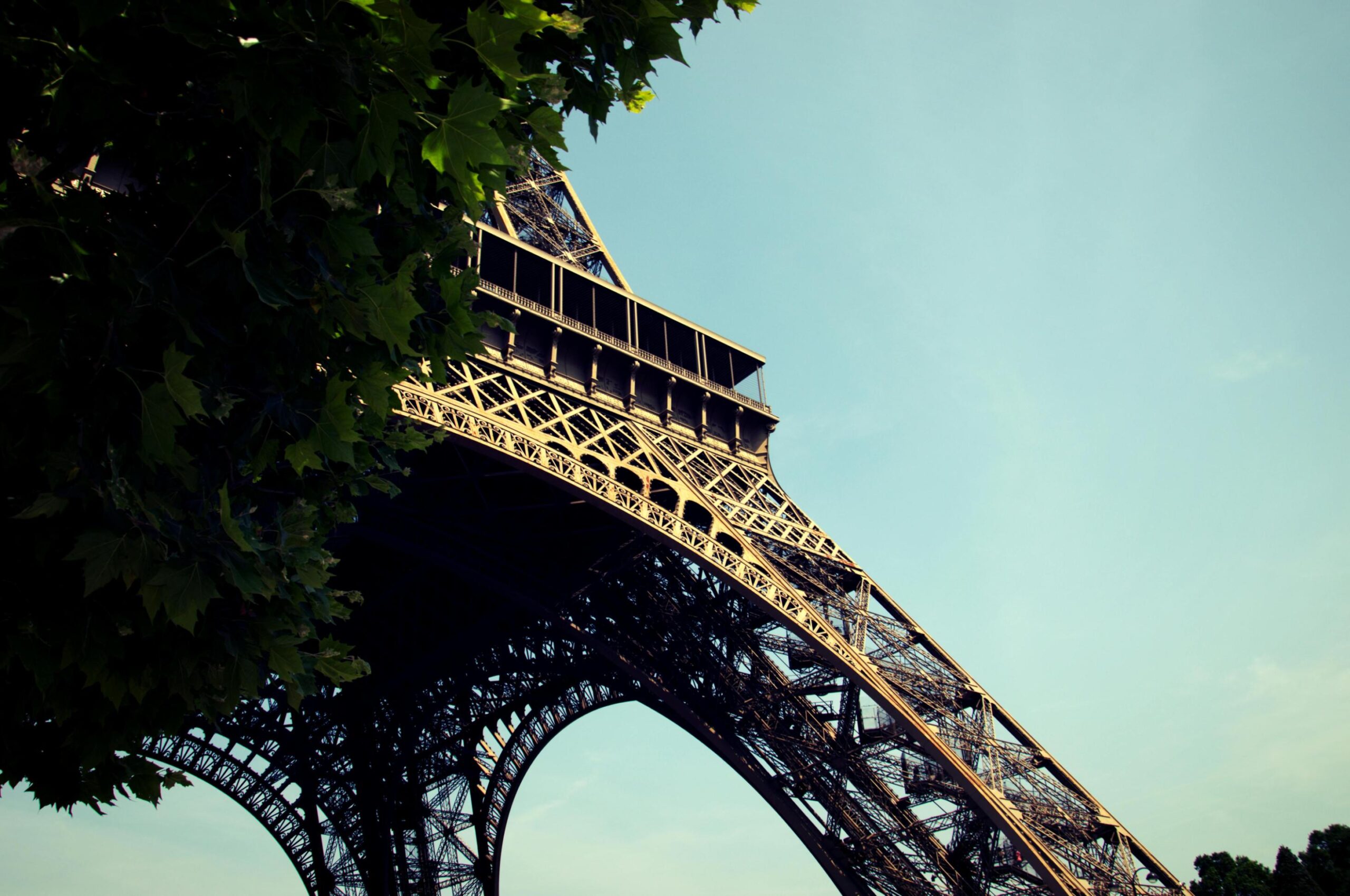 This low-angle shot captures the intricate iron lattice and sweeping arch of the Eiffel Tower, partially framed by lush green leaves in the foreground. Set against a clear, pale blue sky, the warm sunlight highlights the architectural detail of the iconic French monument's first platform.