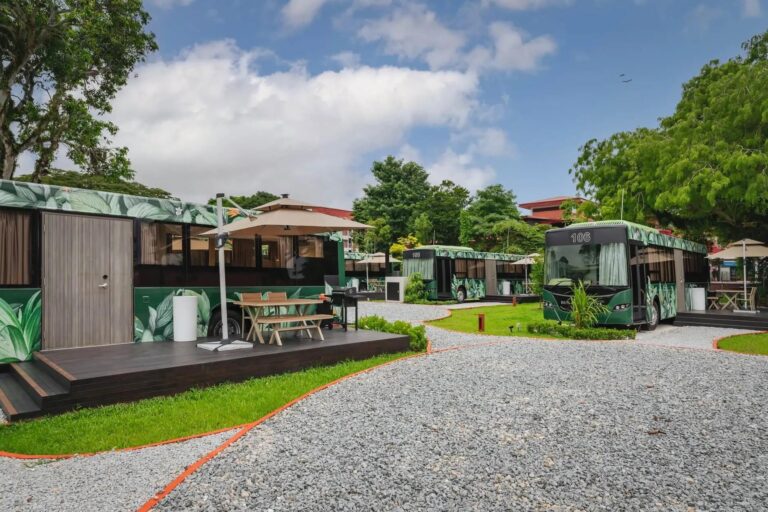 The Bus Collective, a unique resort featuring repurposed public buses transformed into eco-friendly luxury guest rooms. Each bus is wrapped in a lush leaf pattern and includes a private outdoor patio with seating, all set within a landscaped gravel and lawn area.