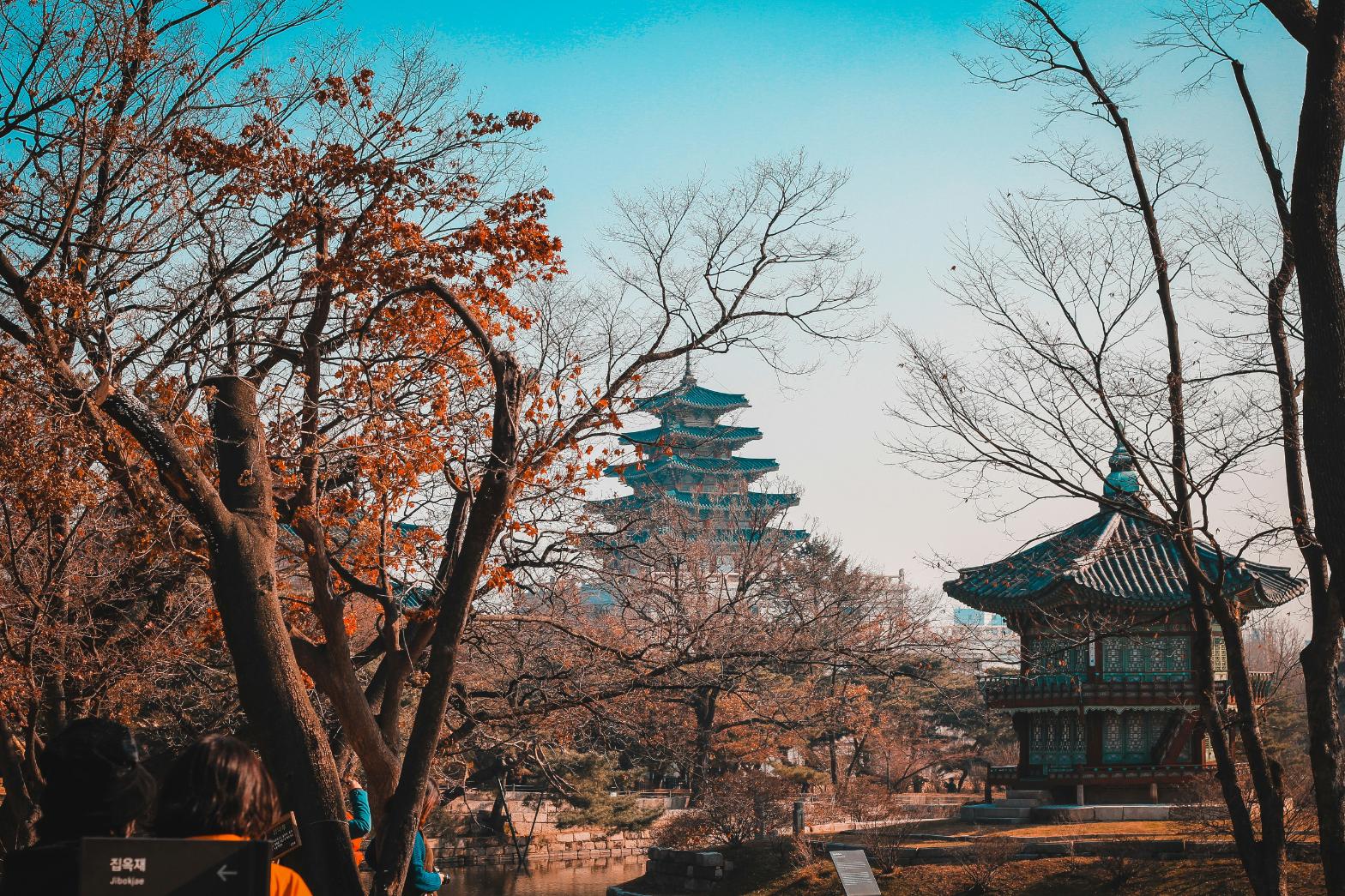 This image captures a scenic view of a multi-tiered Korean pagoda and a smaller pavilion nestled among vibrant autumn trees. The traditional architecture is framed by intricate branches against a clear, bright blue sky, creating a serene and historical atmosphere.