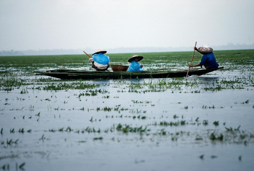 Three people wearing traditional conical hats navigate a long, narrow boat through a shallow, marshy waterway filled with green vegetation. One person uses a long pole to steer the craft while the others sit amidst baskets and blue plastic coverings under a hazy sky.