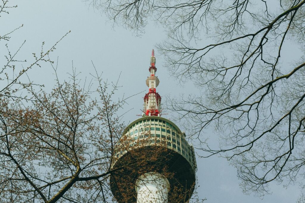The N Seoul Tower stands tall against a pale sky, its circular observation deck and red-and-white antenna soaring above the landscape. Bare tree branches frame the structure, adding a delicate texture to the view of this iconic urban landmark.