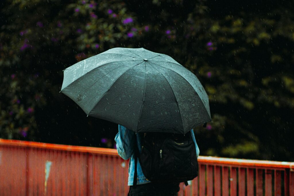 A person wearing a denim jacket and a black backpack stands behind a large, rain-slicked umbrella on a bridge. The dark, leafy background with small purple flowers creates a soft contrast against the orange railing in the foreground.