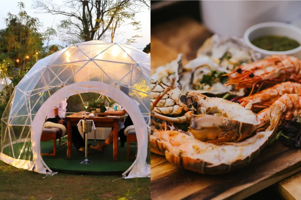 The image is a split-screen photograph showing an outdoor dining experience. On the left, a couple enjoys a candlelit meal inside a glowing, transparent dome tent at dusk, while the right side features a close-up of a wooden platter loaded with grilled seafood, including lobster, prawns, and oysters.