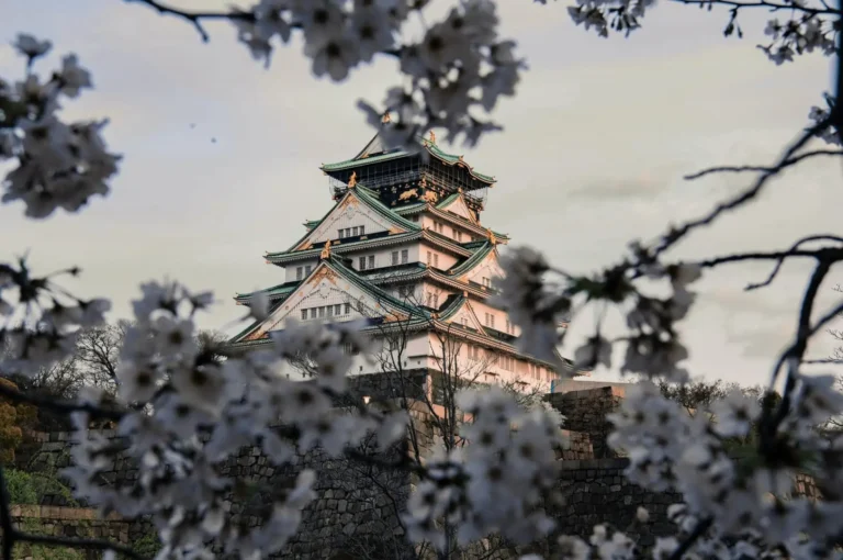 Osaka Castle in Japan framed by blooming cherry blossoms (Sakura) against a soft evening sky.