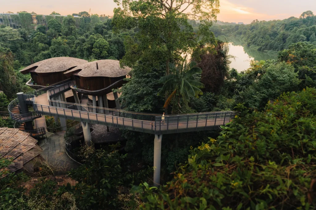 Elevated wooden walkways and thatched-roof pavilions are nestled within a dense tropical forest overlooking a calm body of water at sunset. A lone person walks along the modern bridge structure, which connects the organic, treehouse-like architecture to the lush surrounding landscape.