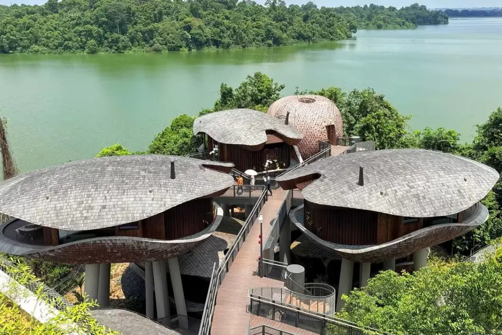 This image features a cluster of modern, leaf-shaped structures perched on stilts overlooking a large body of water. A wooden walkway connects these organic buildings, which are nestled within a lush, green forest environment.