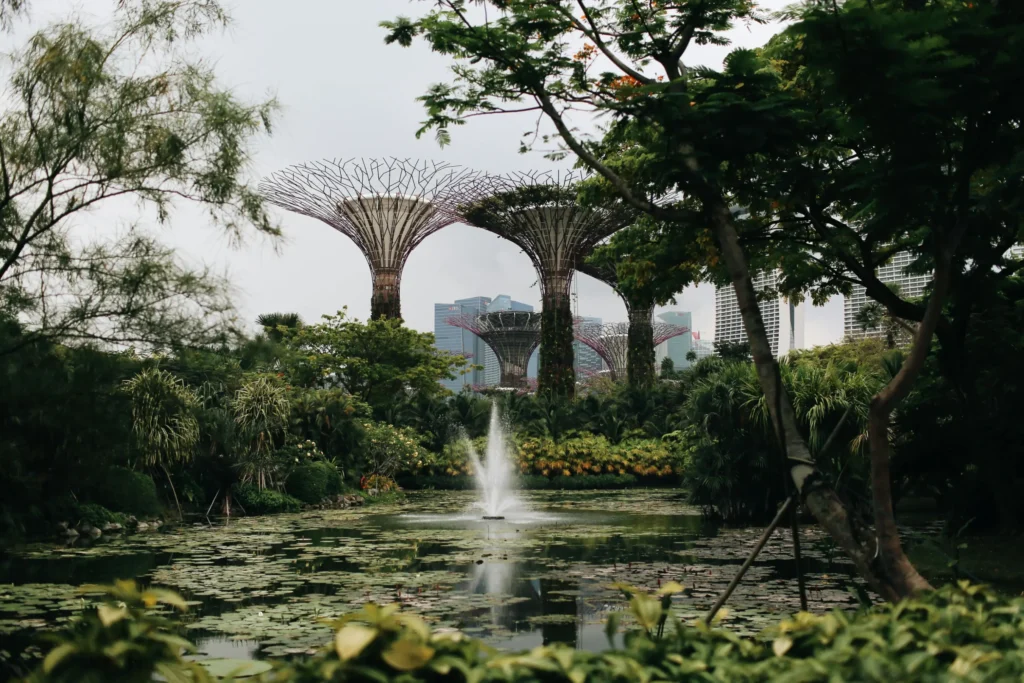 Towering vertical gardens known as Supertrees stand behind a lush pond featuring a central fountain. Dense tropical greenery and lily pads frame the modern cityscape in the background.