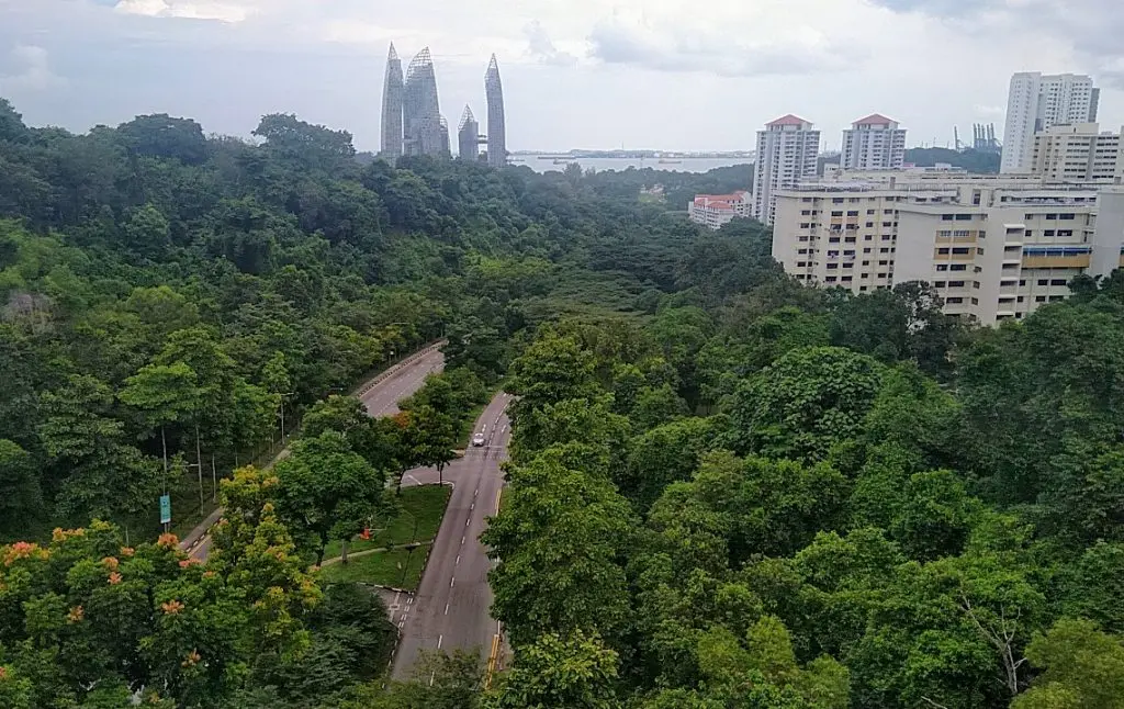 An elevated viewpoint looks out over a lush green canopy and a winding road cutting through a forested valley. In the distance, high-rise residential buildings and distinct, curved skyscrapers stand against a cloudy sky near the coastline.