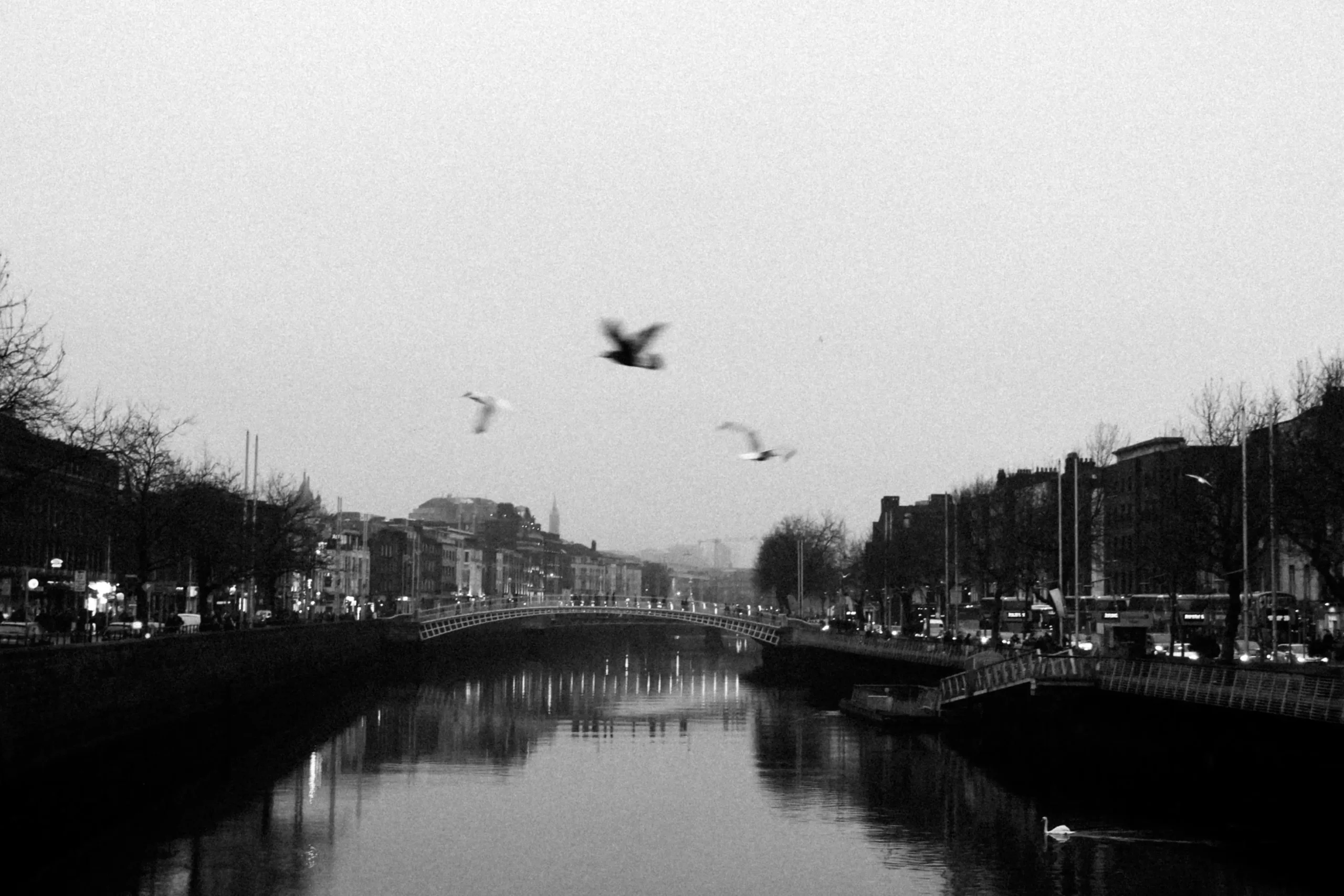 This black-and-white photograph captures the Ha'penny Bridge spanning the River Liffey in Dublin under a hazy sky. Birds fly mid-air above the calm water, which reflects the lights of the surrounding city buildings and the bridge's arched silhouette.
