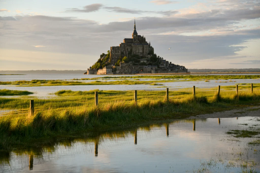 A distant view of Mont Saint-Michel, a historic tidal island abbey in Normandy, France, rising above the surrounding water under a soft, overcast sky. In the foreground, a grassy green field with a wooden fence and reflective puddles catches the warm glow of the setting sun.