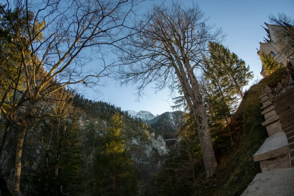 A low-angle view looks up through a canopy of bare and evergreen trees toward a clear blue sky and distant, snowy mountain peaks. On the right, stone steps ascend beside a historic castle building, while a narrow suspension bridge is visible spanning the forested gorge in the background.