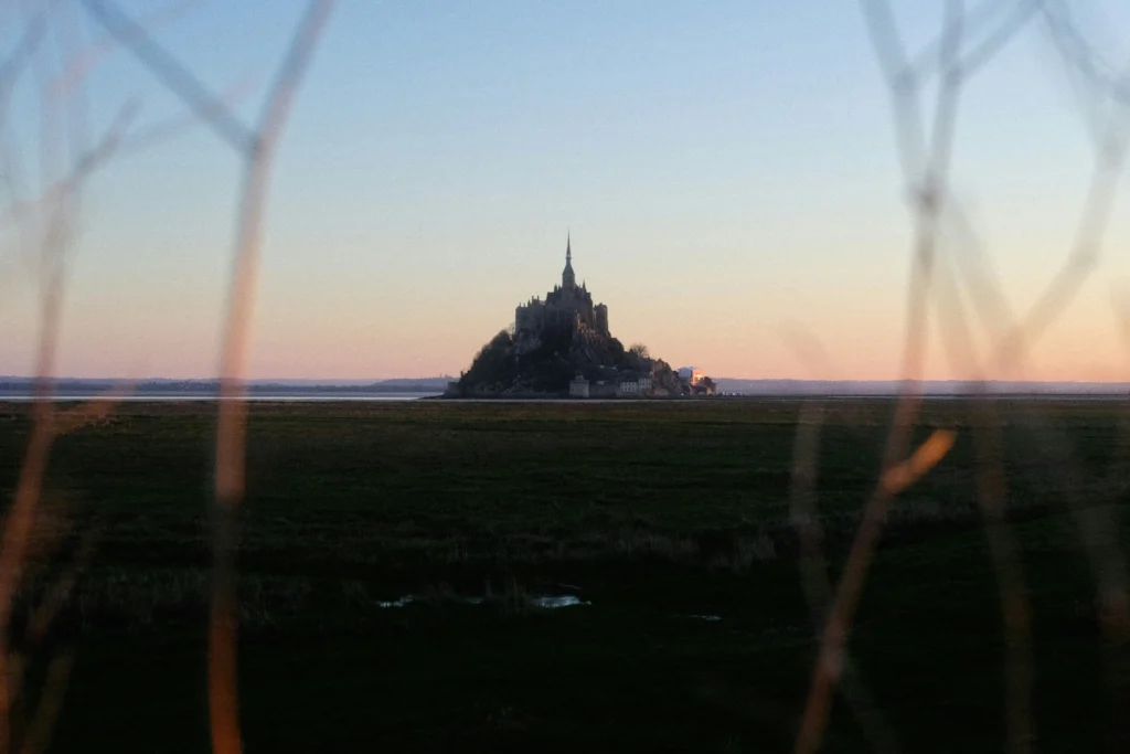 The image captures the distant abbey of Mont Saint-Michel standing against a soft, gradient sky during twilight. The historic island commune rises above a vast expanse of dark fields and is framed by out-of-focus branches in the immediate foreground.