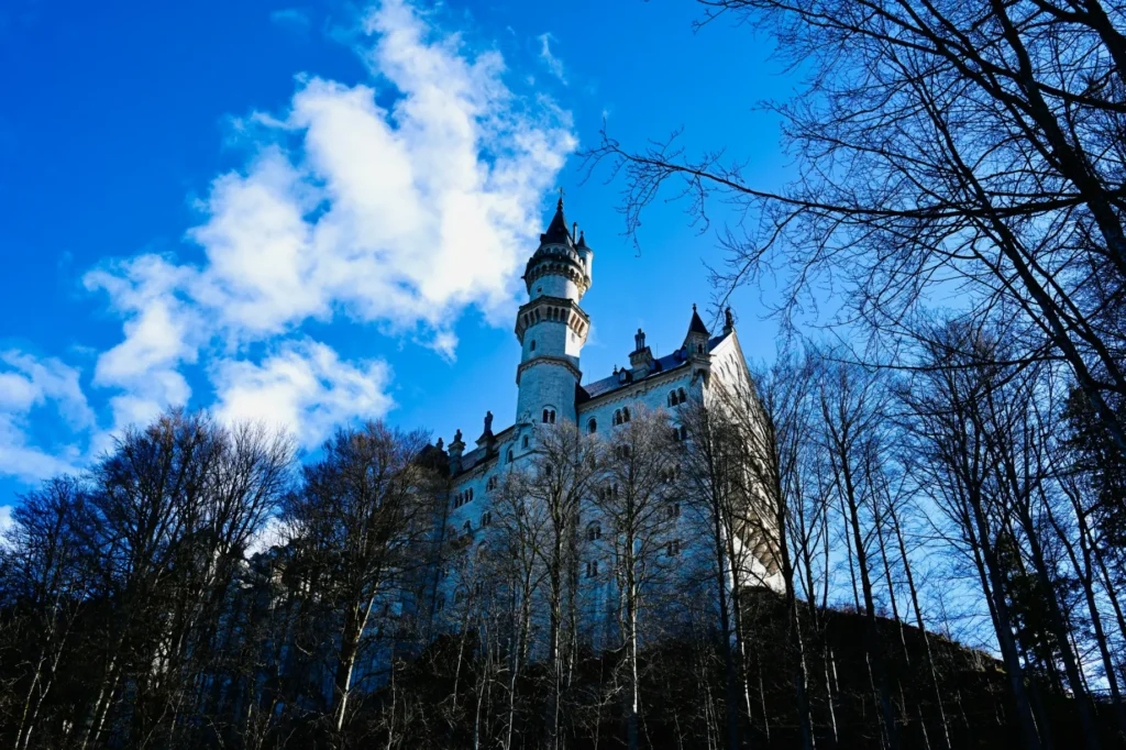 A majestic, white stone castle with distinct towers and spires rises above a dense forest of bare winter trees under a vibrant blue sky with fluffy white clouds. The low-angle shot emphasizes the fairytale-like architecture as it sits prominently on a hillside.