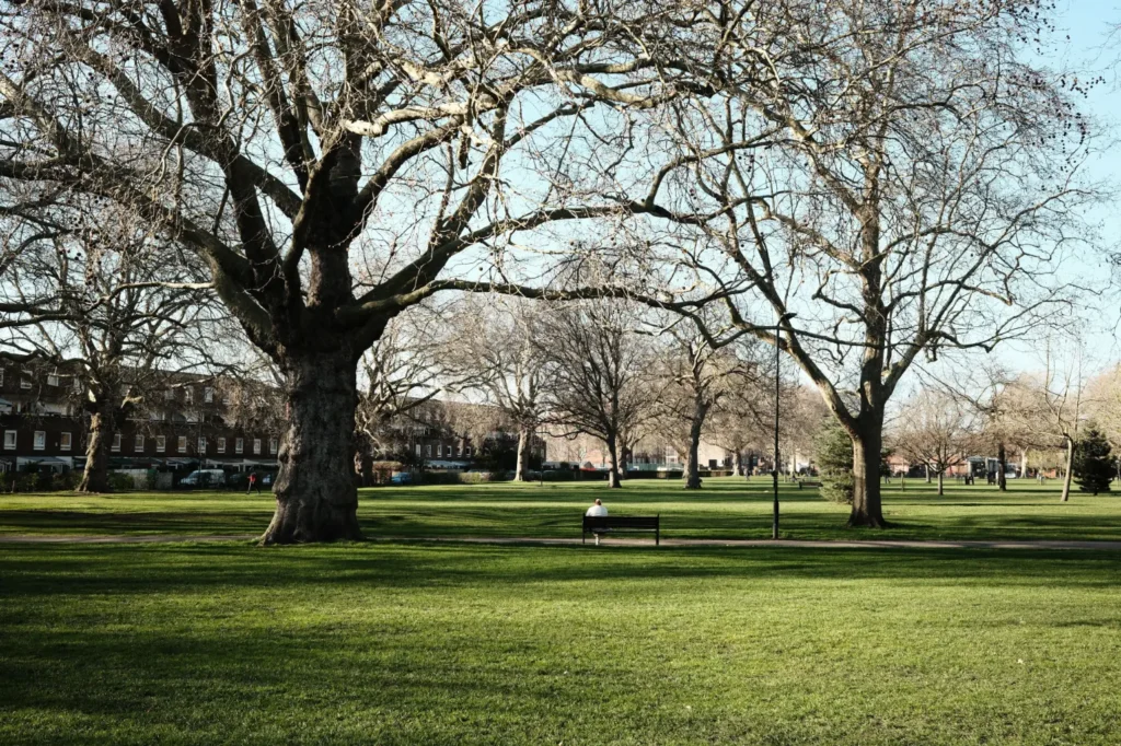A lone person sits on a park bench facing away from the camera in a wide, green public park surrounded by large, bare winter trees. In the background, low-rise residential brick buildings line the edge of the grassy field under a clear, bright sky.
