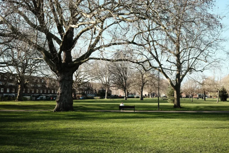 A lone person sits on a park bench facing away from the camera in a wide, green public park surrounded by large, bare winter trees. In the background, low-rise residential brick buildings line the edge of the grassy field under a clear, bright sky.