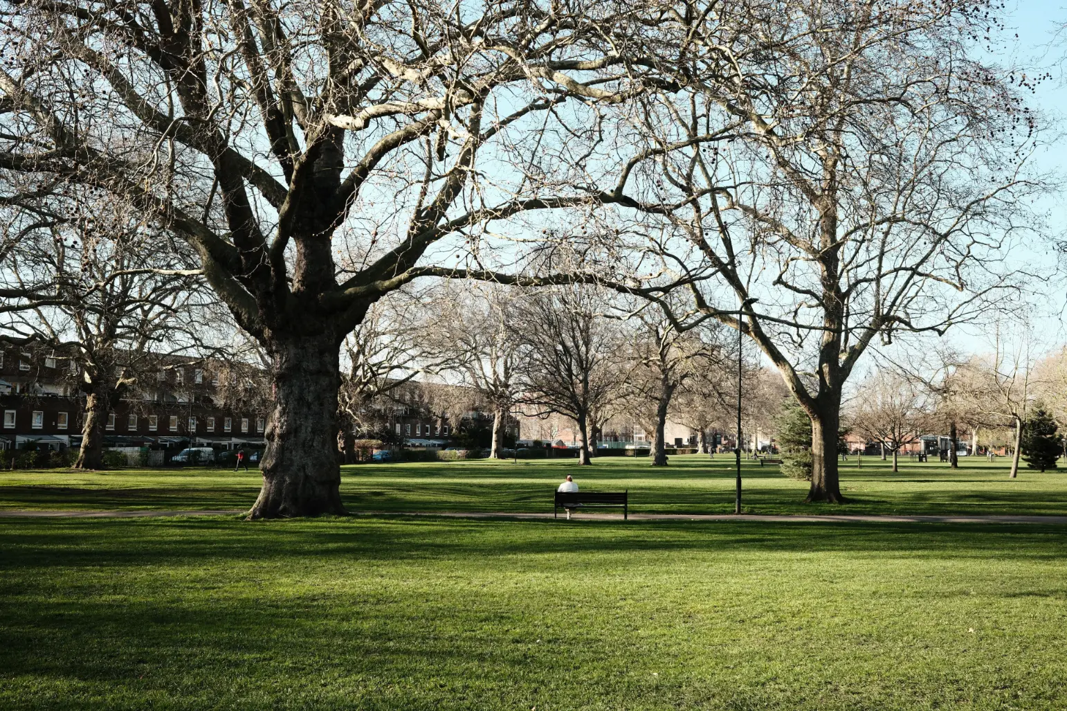 A lone person sits on a park bench facing away from the camera in a wide, green public park surrounded by large, bare winter trees. In the background, low-rise residential brick buildings line the edge of the grassy field under a clear, bright sky.