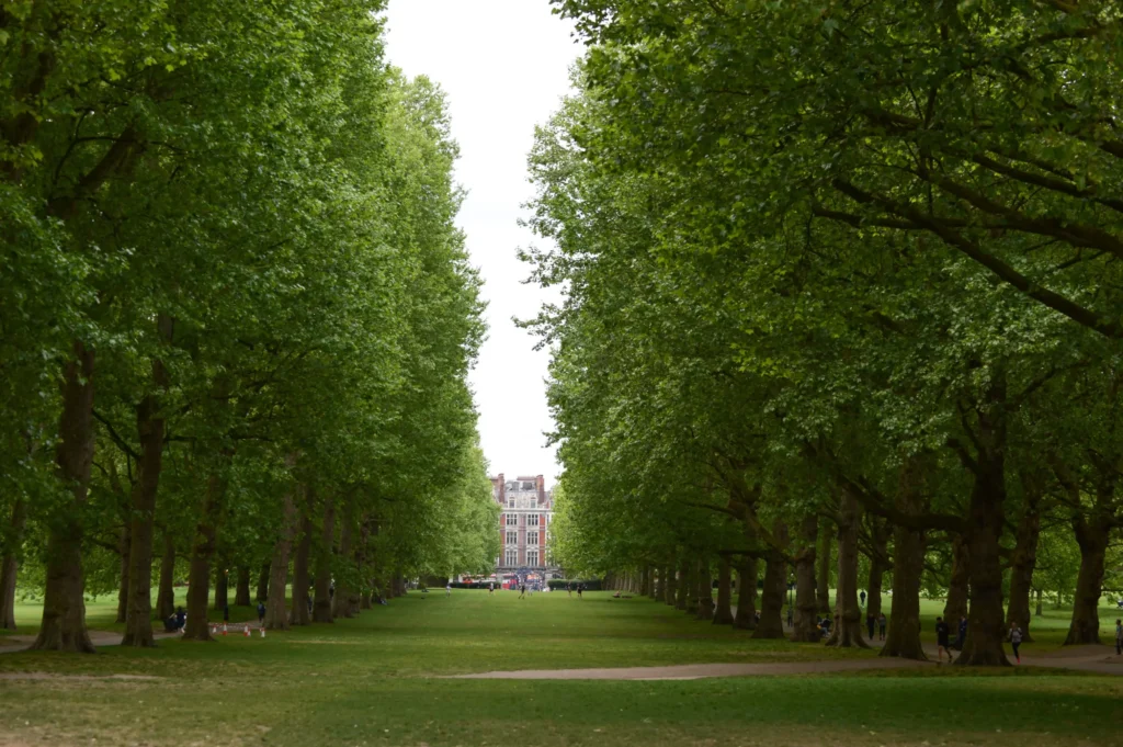 A wide, grassy lane stretches through a park, flanked on both sides by tall, lush green trees forming a natural canopy. In the far distance, a large brick building is framed perfectly at the end of the tree-lined path under a bright, overcast sky.