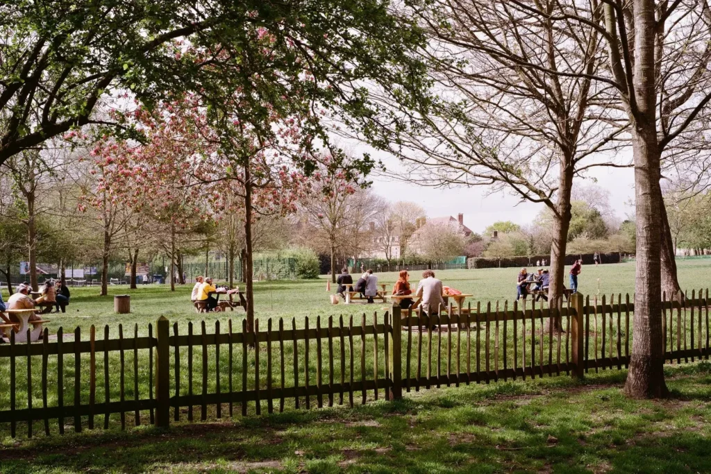 A low wooden picket fence runs across the foreground of a sunlit park where people are sitting at wooden picnic tables scattered across a grassy lawn. Large, mature trees frame the scene, including one on the left with delicate pink blossoms, while houses are visible in the far background under a bright sky.