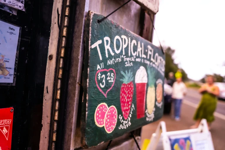A painted green wooden sign hangs outside advertising "Tropical Floats" for $3.25 alongside illustrations of fruits and drinks. In the blurred background, people stand near a roadside stand outdoors under bright daylight.