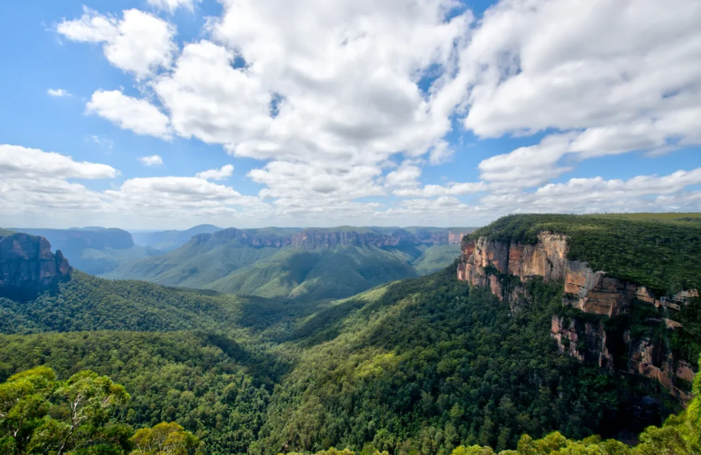 A wide landscape view reveals steep sandstone cliffs and dense, tree-covered mountain slopes under a vibrant blue sky filled with fluffy white clouds. In the foreground, dry brush and scrubland lead down into the expansive, forest-filled valley below.