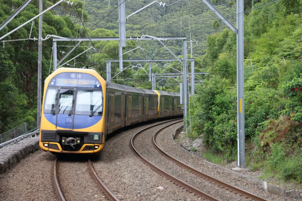 A yellow and blue passenger train travels along a curved track under overhead power lines. Lush green trees and dense forest cover the hillsides framing both sides of the railway.