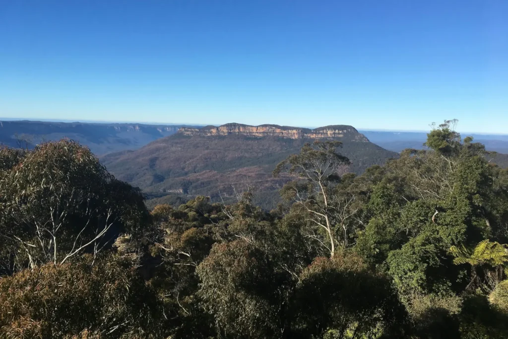 A wide scenic view looking over lush green treetops toward a large, flat-topped mountain ridge in the distance. The vast landscape is set beneath a clear, bright blue sky with a slight haze across the valley horizon.