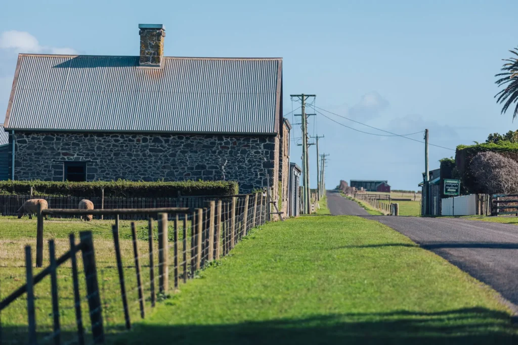 A quiet rural asphalt road stretches into the distance beside a stone building with a corrugated metal roof. In the foreground, sheep graze behind a wooden fence along a bright green patch of grass under a clear blue sky.