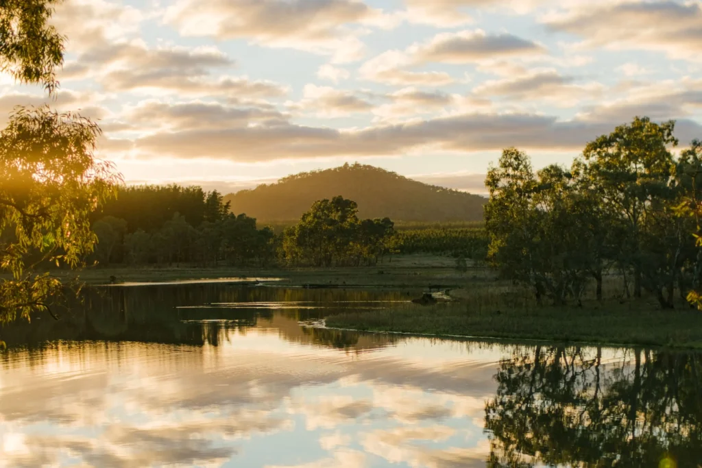 Golden sunlight illuminates a calm lake bordered by lush green trees and grassy banks at sunrise or sunset. A distant hill stands beneath a cloudy sky, which casts vivid reflections across the gentle ripples of the water.