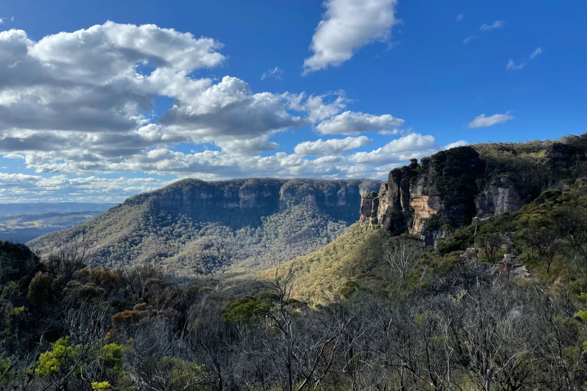 A wide landscape view reveals steep sandstone cliffs and dense, tree-covered mountain slopes under a vibrant blue sky filled with fluffy white clouds. In the foreground, dry brush and scrubland lead down into the expansive, forest-filled valley below.