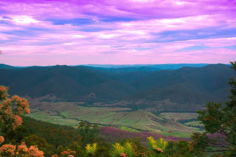 A vibrant panoramic landscape looking over rolling green hills and distant mountain ranges framed by foliage. Above, the sky is filled with glowing purple and pink clouds illuminated at twilight.