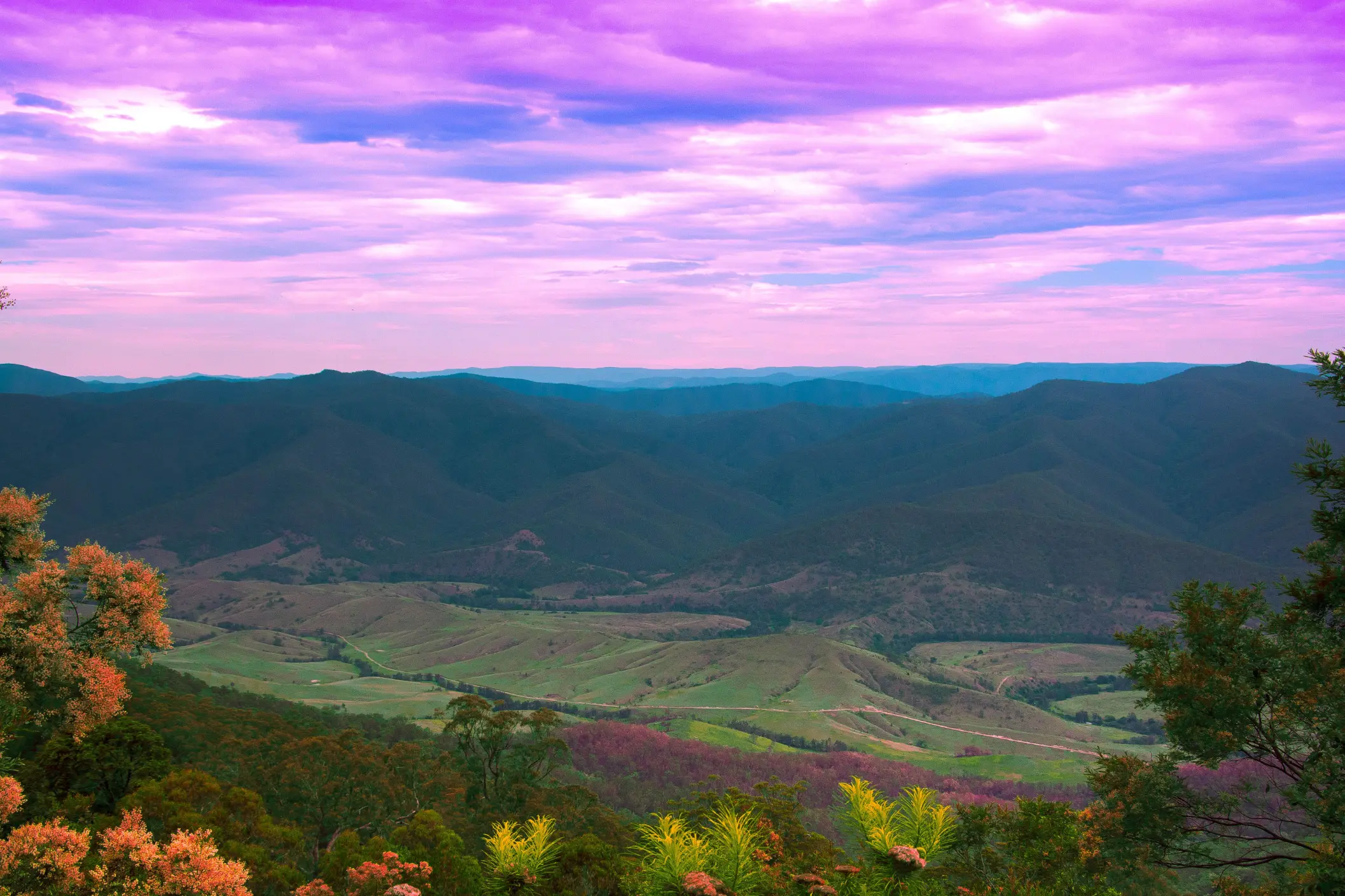 A vibrant panoramic landscape looking over rolling green hills and distant mountain ranges framed by foliage. Above, the sky is filled with glowing purple and pink clouds illuminated at twilight.