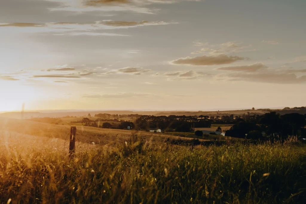 A warm, golden sunset illuminates a vast rural landscape filled with rolling grassy fields and distant farm structures. The soft sunlight casts long shadows across tall grass and a wooden fence post in the foreground.