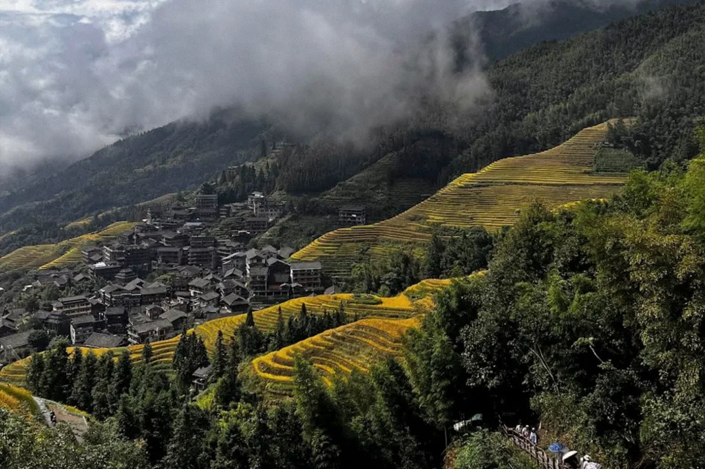 Golden rice terraces sweep across a steep mountainside above a traditional village, while misty clouds drift over the densely forested mountain peaks.